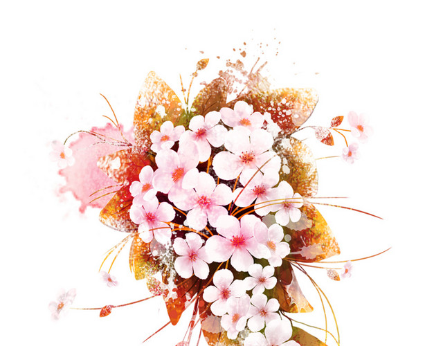 藤蔓花