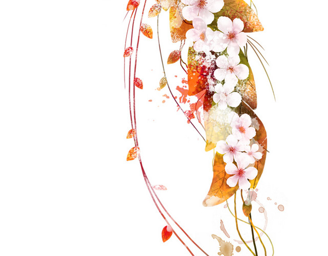 藤蔓花