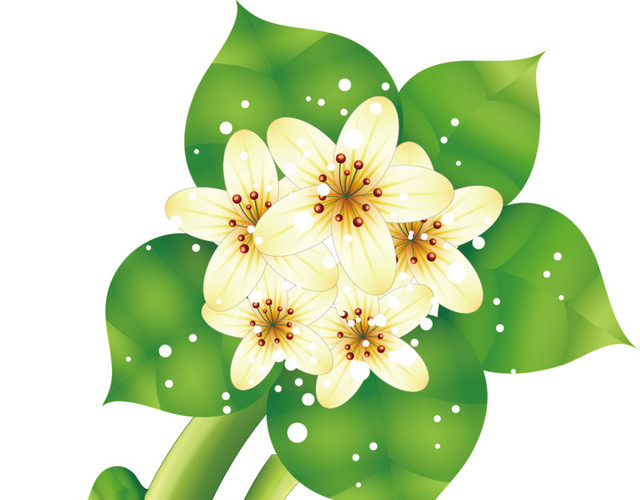 藤蔓花饰