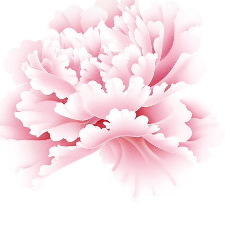 中秋花元素