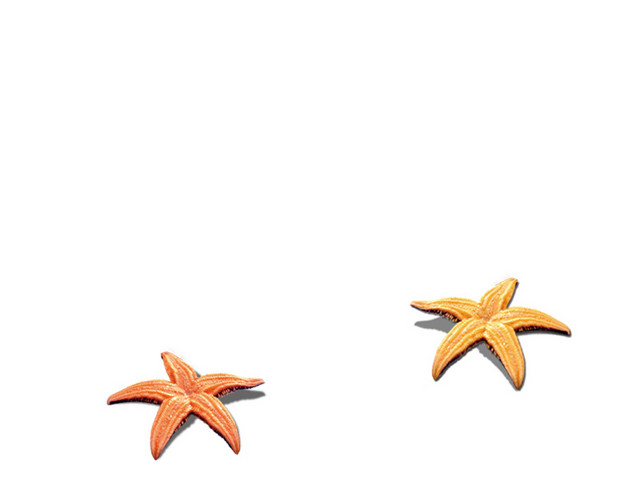 可爱海星矢量素材
