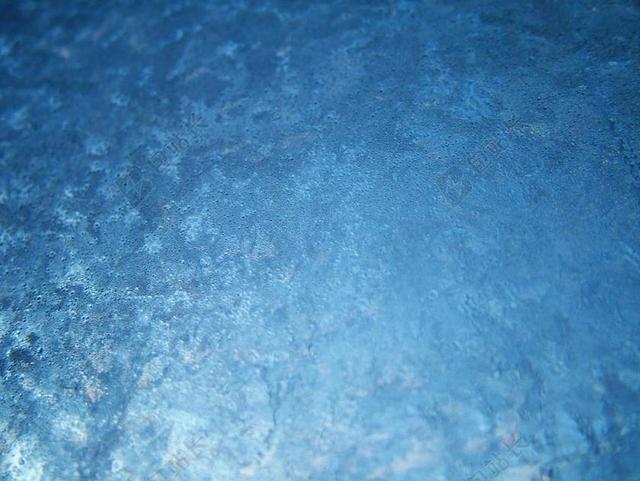 霜 冬天 上午 雪 季节 白 度假 圣诞节 新 一年