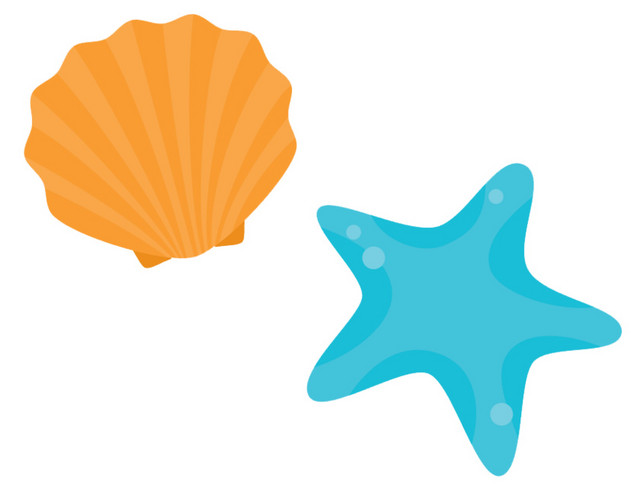 海星贝壳矢量素材