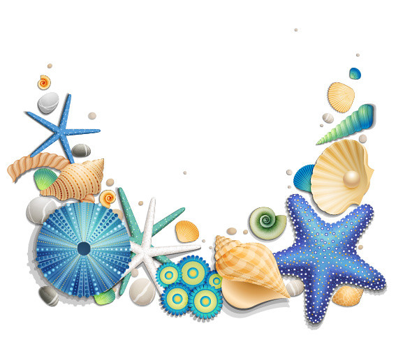 海星海螺贝壳清新矢量素材