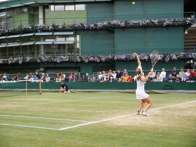 网球 专业 女子 西蒙娜 HALEP 温布尔登网球赛 英格兰