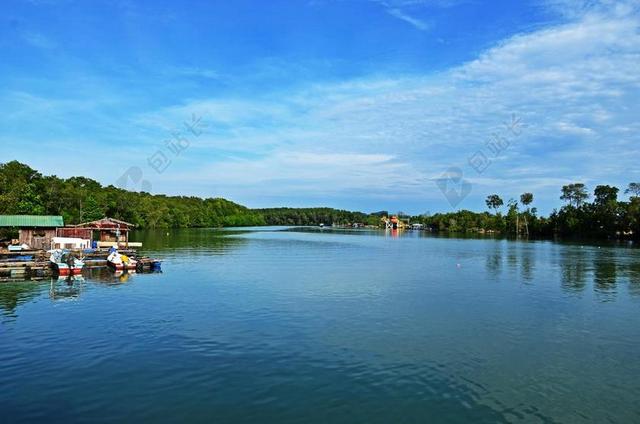 河 国家 溪 水 自然 景观 风景 环境 流 绿色 树