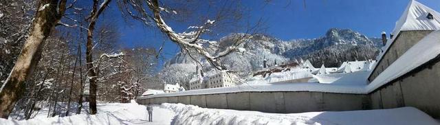冬天下雪雪景图片