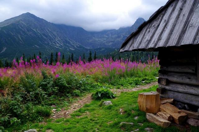 自然美丽群山下的花海和房子山野房子背景图片