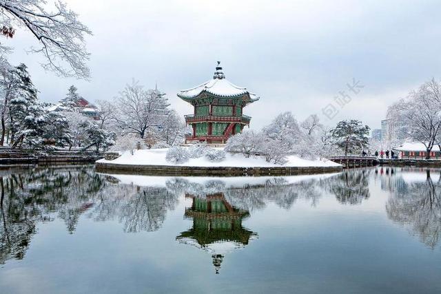景福宫 面对花园 SNOW 冬季 文化财产 雪 冬天 白色的雪
