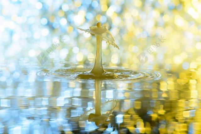 滴 水 一滴水 水景 喷雾 注入 液体 花束 本事 高速度