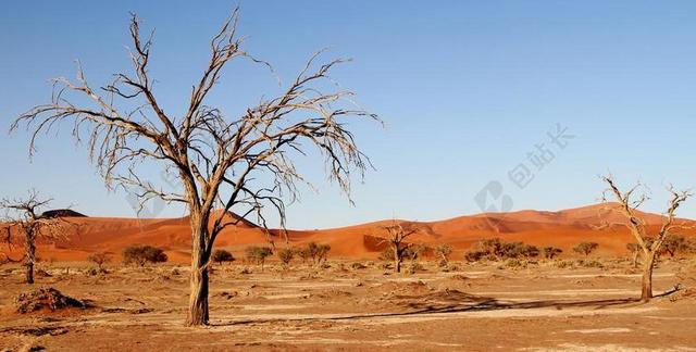 沙漠 纳米比亚 沙丘 非洲 SOSSUSVLEI 沙漠景观