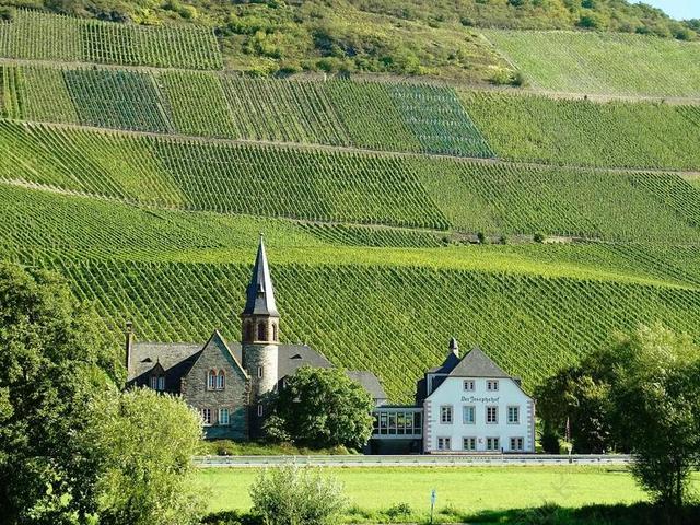 葡萄园 MOSEL 葡萄种植面积 陡峭的斜坡 石板 萨克森 景观