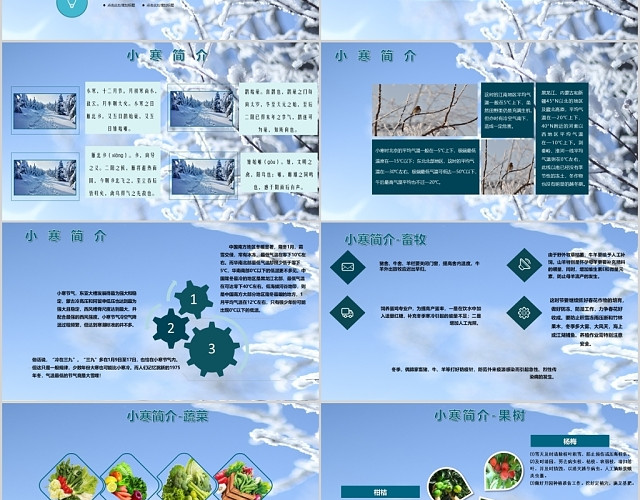 简约二十四节气小寒PPT模板