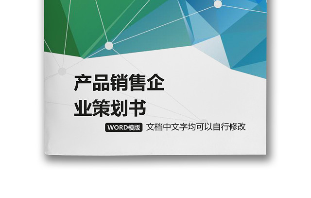 简约正式产品销售项目策划书活动策划书计划书WORD模板