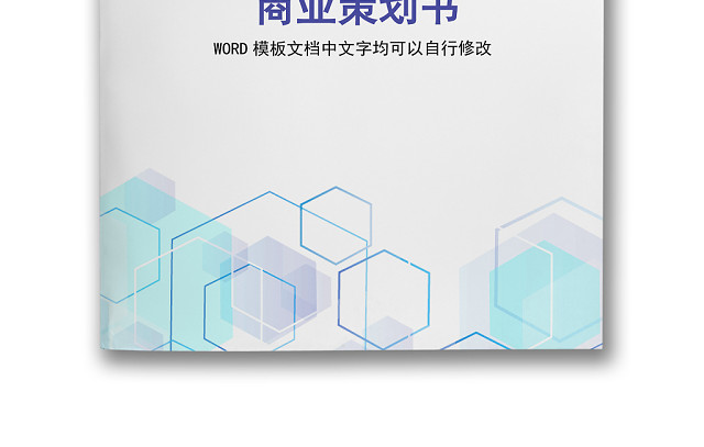 简约正式公司销售商业策划书商业计划书WORD模板