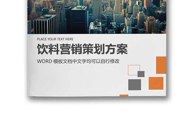 彩色简约商务饮料营销策划方案销售计划WORD模板