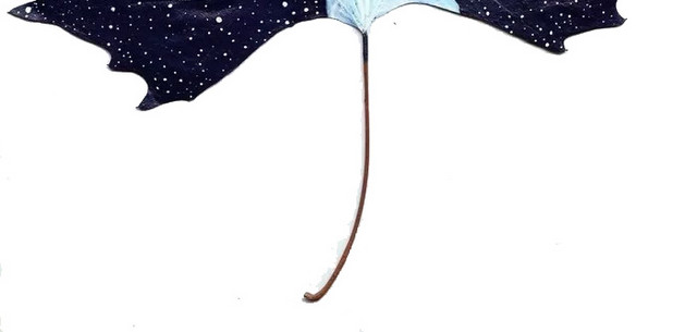树叶和鹿