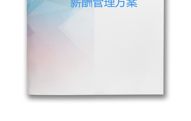 黑白简约薪酬管理方案工资标准WORD模板