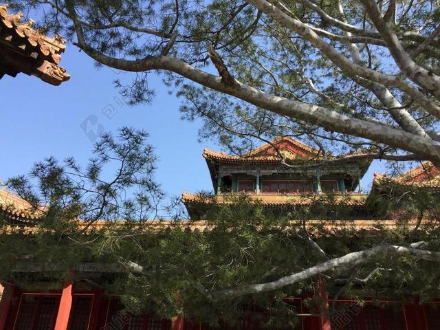 建筑古典蓝天下树间的宫殿建筑设计景点背景图片