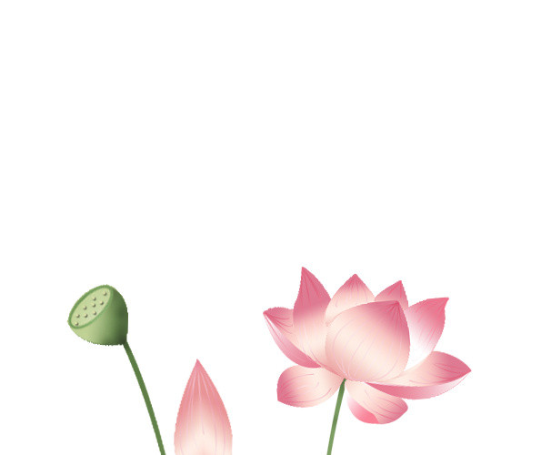 中秋荷花莲蓬装饰