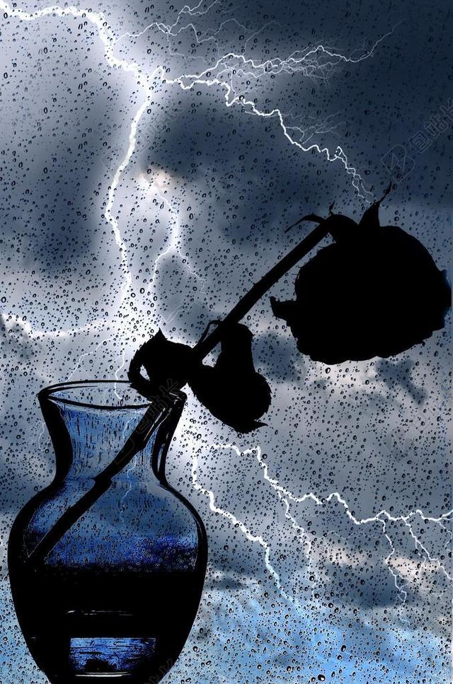 植物侧影暴雨闪电和玫瑰阴影背景图片
