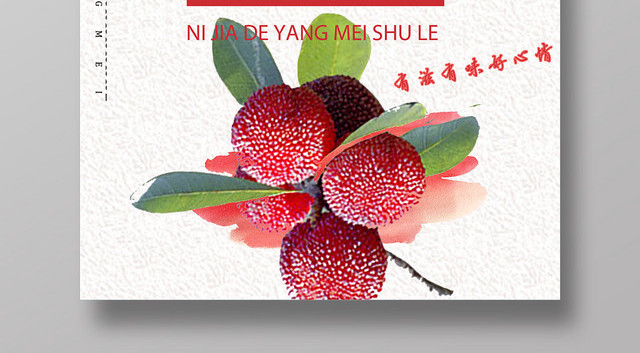 杨梅熟了优质水果海报
