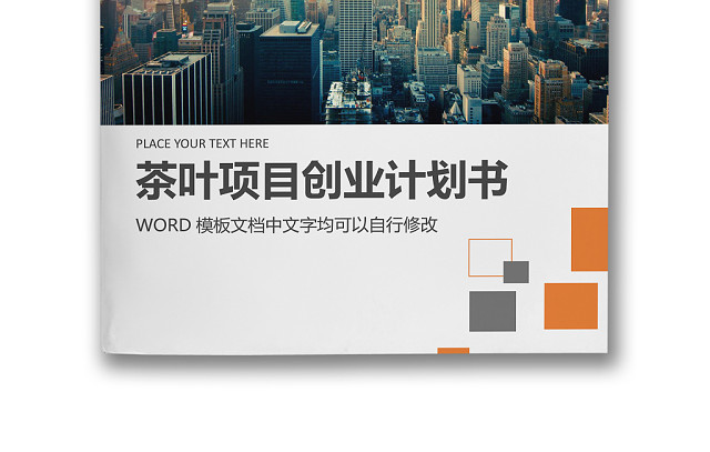 黑白简约公司茶叶项目创业计划书WORD模板