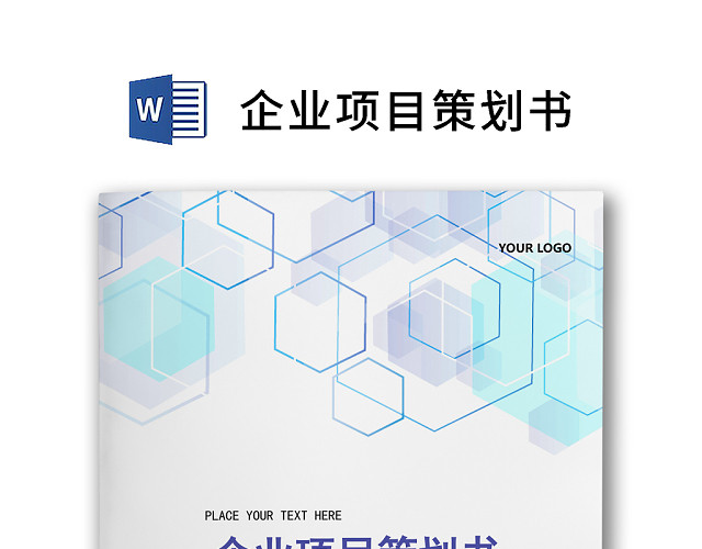 简约正式公司项目策划书活动策划书计划书WORD模板