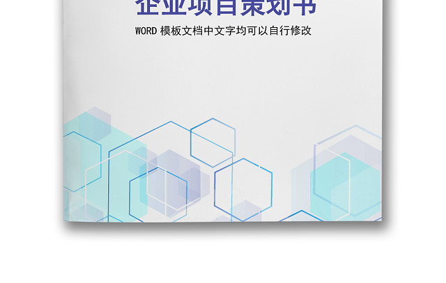 简约正式公司项目策划书活动策划书计划书WORD模板