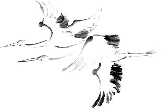 黑白手绘中国水墨风仙鹤插画素材