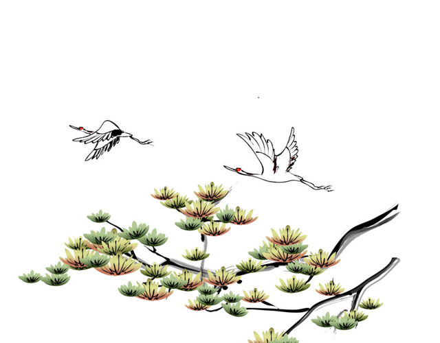 手绘仙鹤松树简笔画