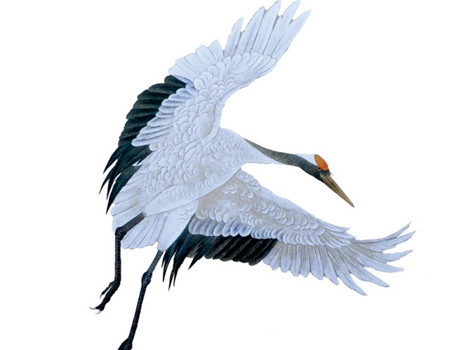 古风仙鹤插画素材