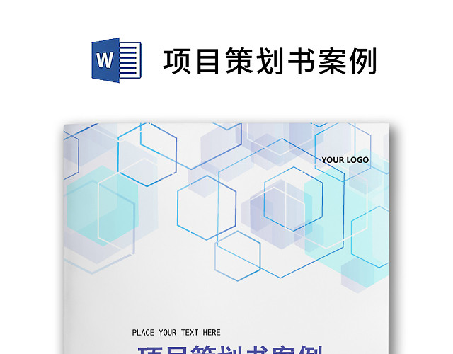 简约正式公司项目策划书案例活动策划书计划书WORD模板