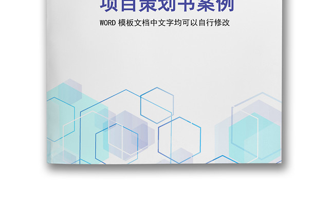 简约正式公司项目策划书案例活动策划书计划书WORD模板