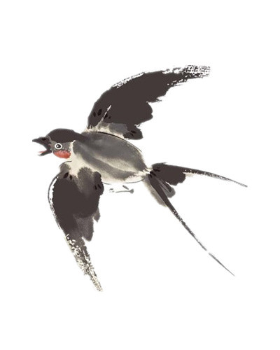 古风燕子水墨插画