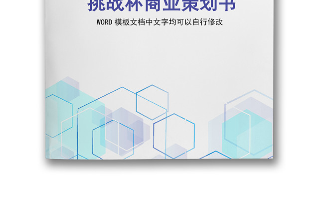 简约正式公司挑战杯商业策划书商业计划书WORD模板