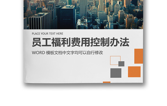 彩色简约公司员工福利薪酬福利带薪年休假实施办法WORD模板