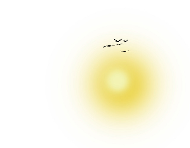 太阳光晕
