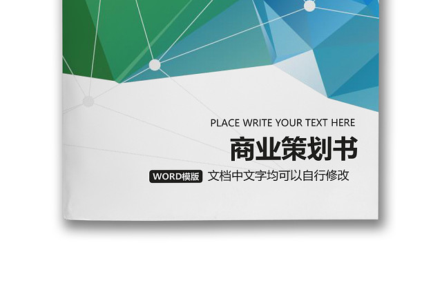 彩色简约正式公司商业策划书计划书商业安排WORD模板