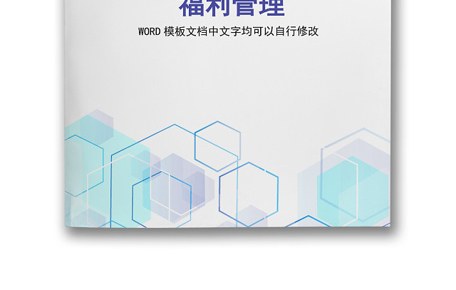 彩色简约正式公司员工福利管理薪酬管理WORD模板