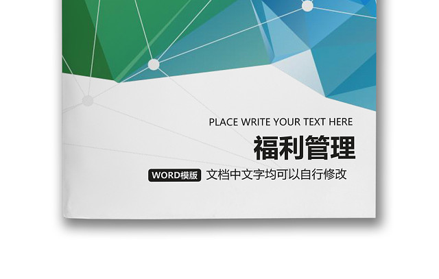 彩色简约正式公司员工福利管理薪酬管理WORD模板