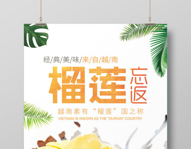 水果榴莲越南进口榴莲宣传