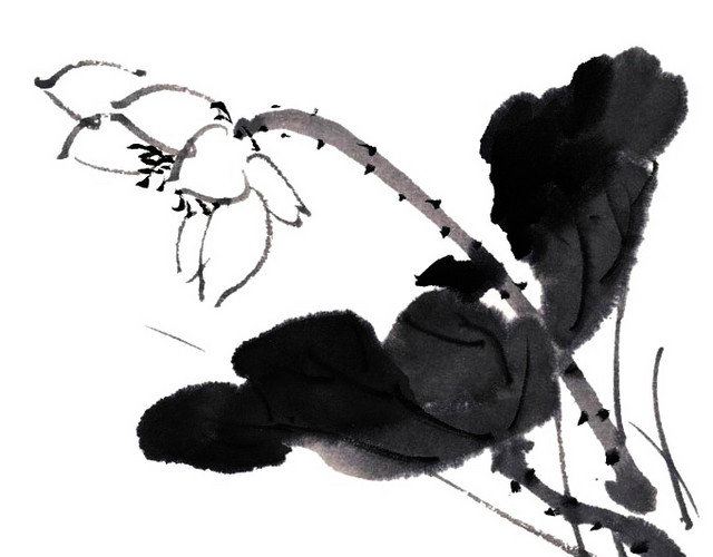 黑白莲花素材