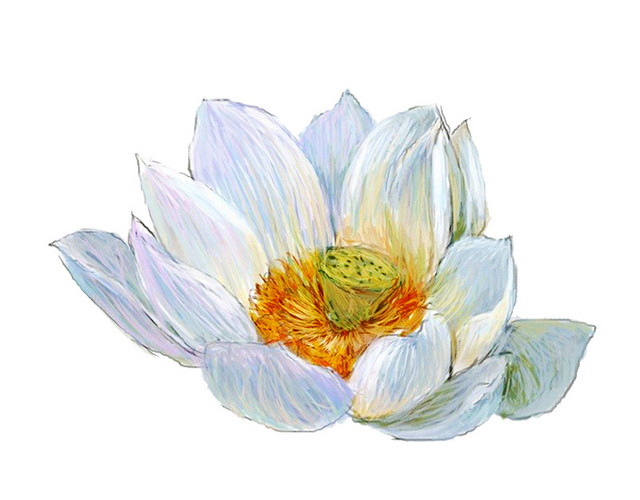 手绘水墨白色莲花素材