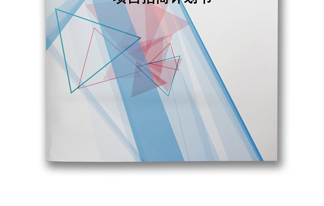 蓝色简约企业项目计划书WORD模板