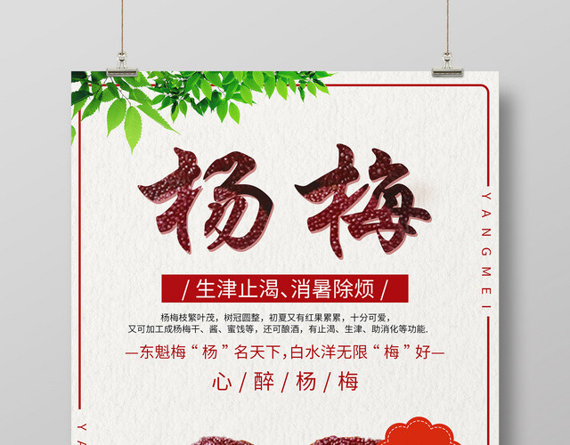 创意生津止渴杨梅水果宣传海报