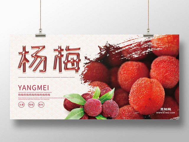 生鲜中国风美味杨梅水果宣传海报