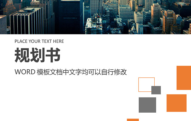 彩色简约正式公司规划书计划书WORD模板