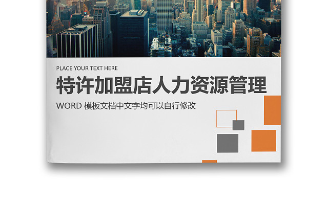 简约正式特许加盟店人力资源管理人事管理公司人事WORD模板