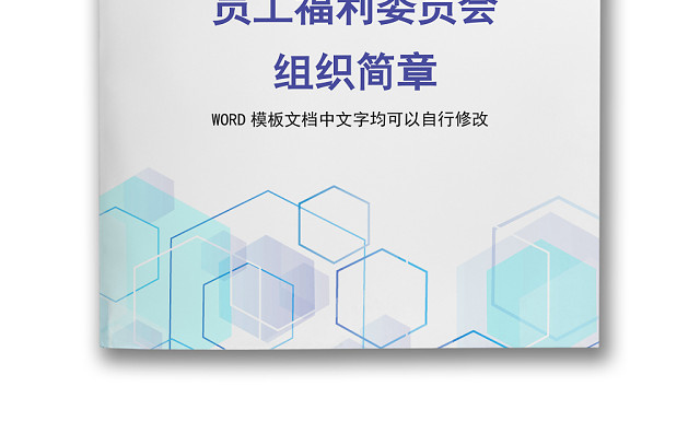 彩色简约公司绩效奖金发放办法组织简章WORD模板